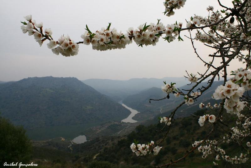 프라익소데에스파다아신타 Moradias Do Douro Internacional 빌라 외부 사진